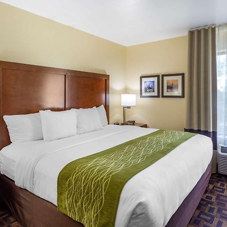 Comfort Inn & Suites North Aurora - Naperville Exteriér fotografie