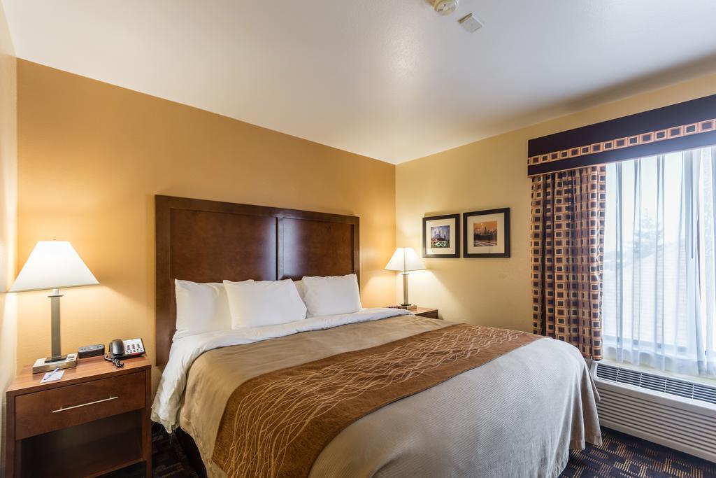Comfort Inn & Suites North Aurora - Naperville Exteriér fotografie
